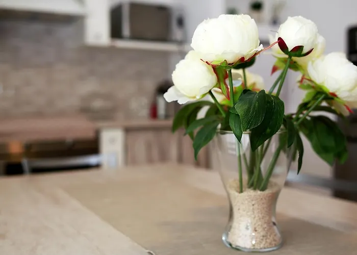 فندق مبيت وإفطار A Casa Di Amici