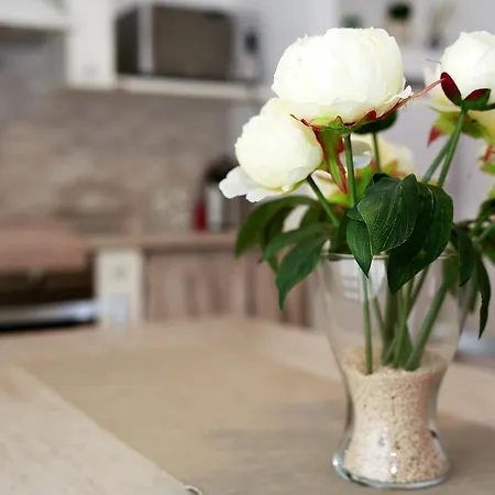 Bed and Breakfast A Casa Di Amici